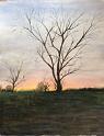 Sunset Tree